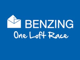 Logotip partnera Benzing